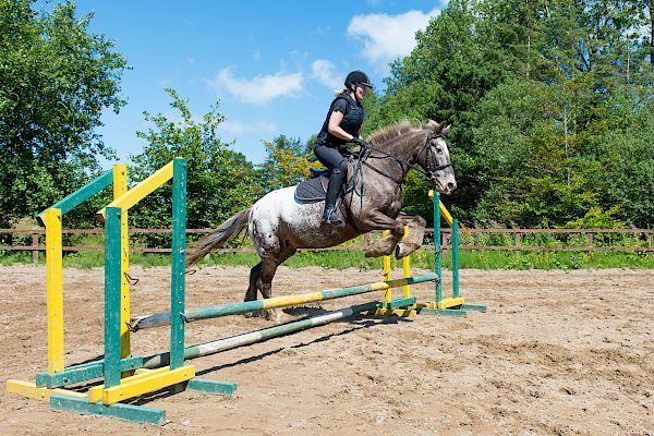 Snowdonia Riding Stables Geoff Billington Clinic