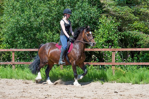 Snowdonia Riding Stables Geoff Billington Clinic