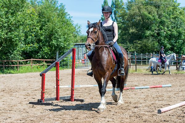 Snowdonia Riding Stables Geoff Billington Clinic