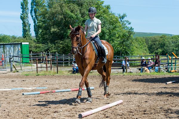 Snowdonia Riding Stables Geoff Billington Clinic