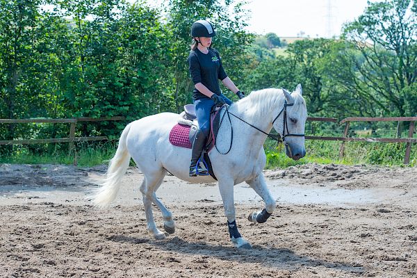 Snowdonia Riding Stables Geoff Billington Clinic