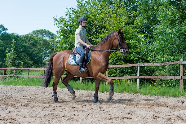 Snowdonia Riding Stables Geoff Billington Clinic