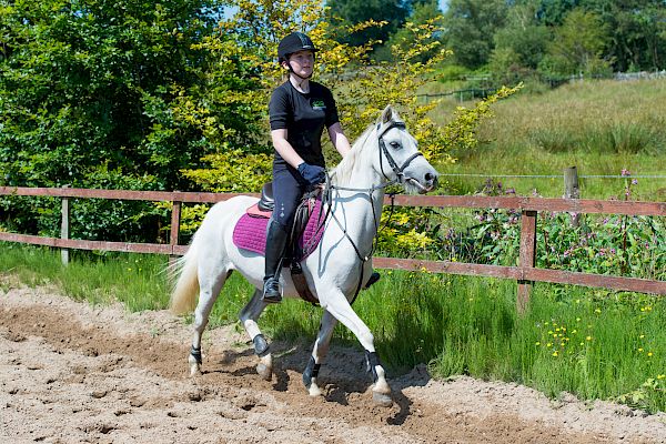 Snowdonia Riding Stables Geoff Billington Clinic