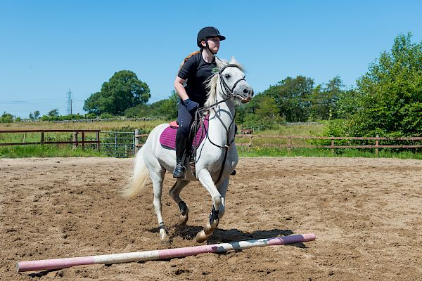 Snowdonia Riding Stables Geoff Billington Clinic