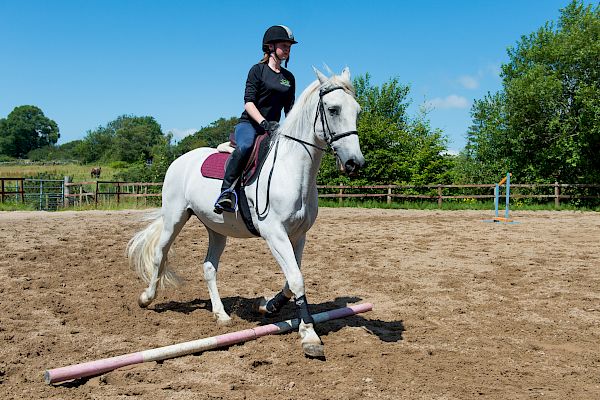 Snowdonia Riding Stables Geoff Billington Clinic