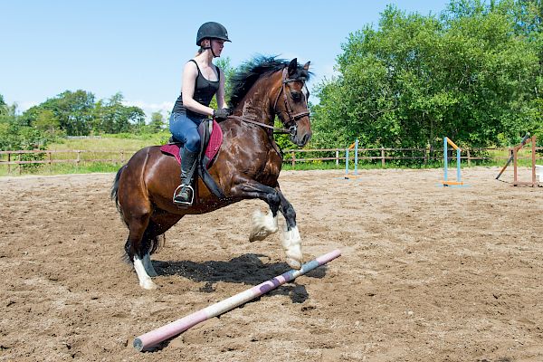 Snowdonia Riding Stables Geoff Billington Clinic