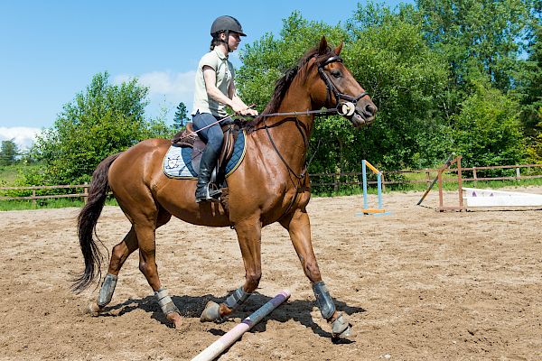 Snowdonia Riding Stables Geoff Billington Clinic