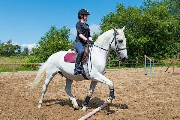 Snowdonia Riding Stables Geoff Billington Clinic