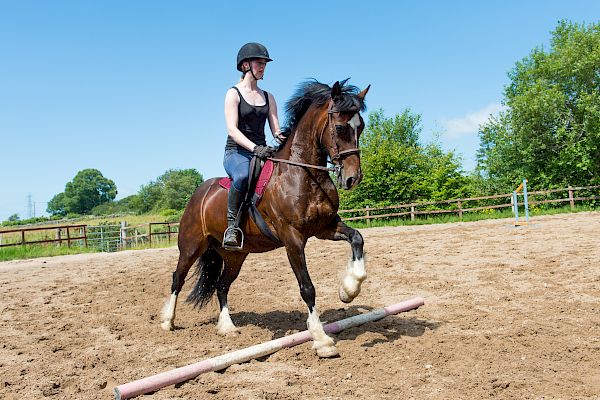 Snowdonia Riding Stables Geoff Billington Clinic