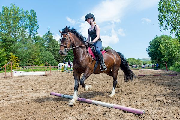 Snowdonia Riding Stables Geoff Billington Clinic