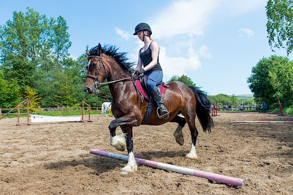 Snowdonia Riding Stables Geoff Billington Clinic