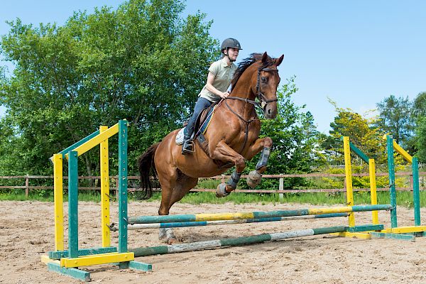 Snowdonia Riding Stables Geoff Billington Clinic