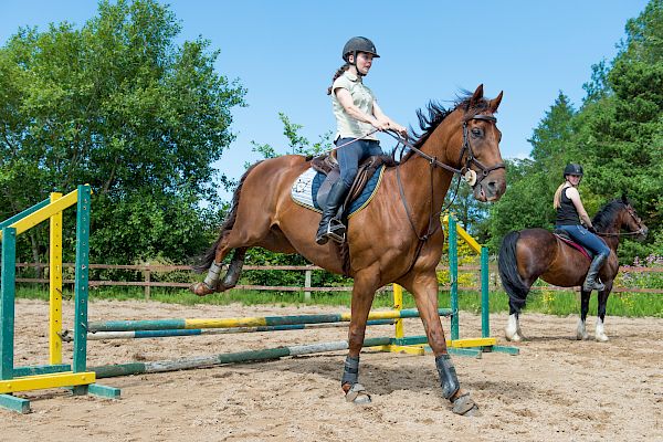 Snowdonia Riding Stables Geoff Billington Clinic