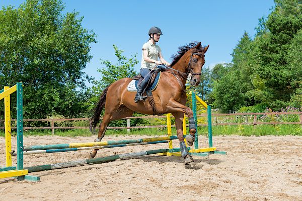 Snowdonia Riding Stables Geoff Billington Clinic