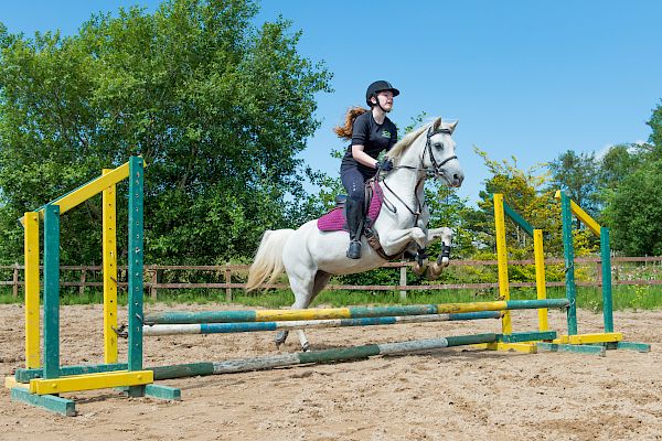 Snowdonia Riding Stables Geoff Billington Clinic