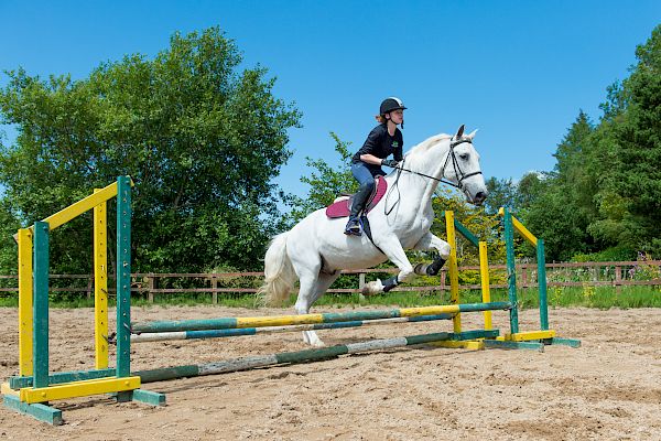 Snowdonia Riding Stables Geoff Billington Clinic