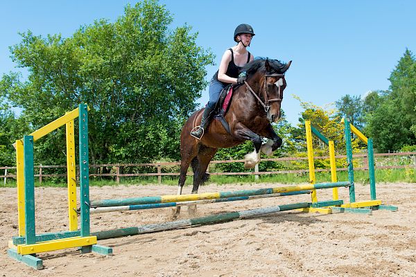 Snowdonia Riding Stables Geoff Billington Clinic