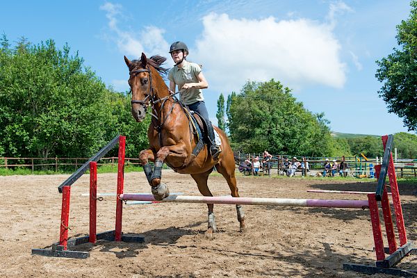 Snowdonia Riding Stables Geoff Billington Clinic