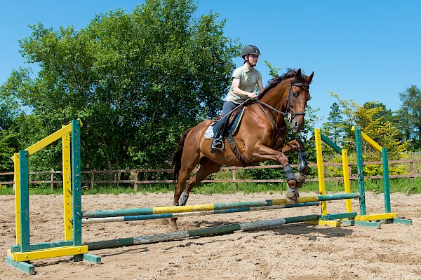 Snowdonia Riding Stables Geoff Billington Clinic