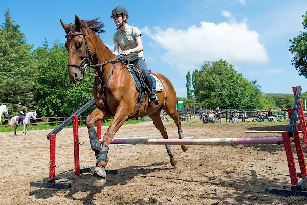 Snowdonia Riding Stables Geoff Billington Clinic