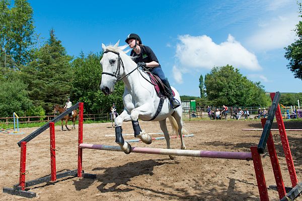 Snowdonia Riding Stables Geoff Billington Clinic