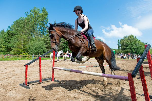 Snowdonia Riding Stables Geoff Billington Clinic