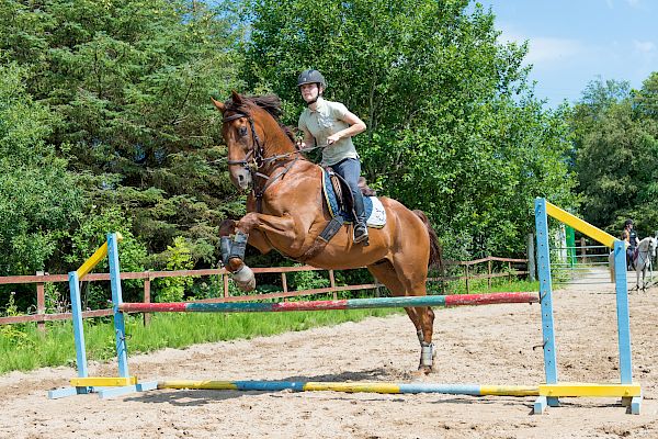 Snowdonia Riding Stables Geoff Billington Clinic