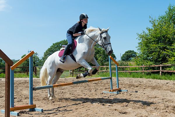 Snowdonia Riding Stables Geoff Billington Clinic