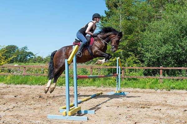 Snowdonia Riding Stables Geoff Billington Clinic