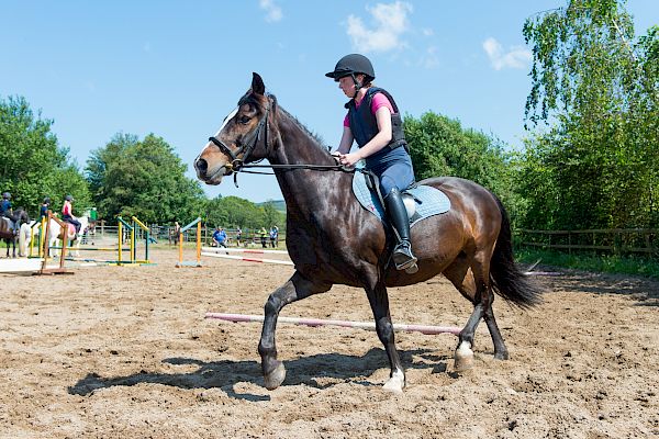 Snowdonia Riding Stables Geoff Billington Clinic