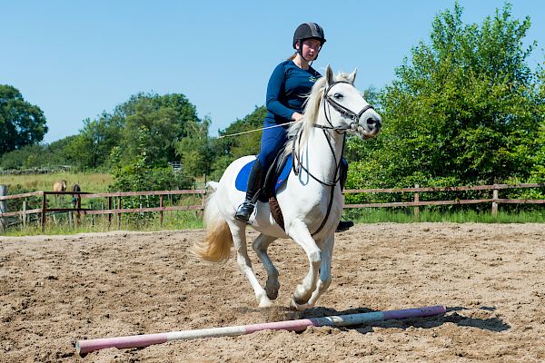 Snowdonia Riding Stables Geoff Billington Clinic