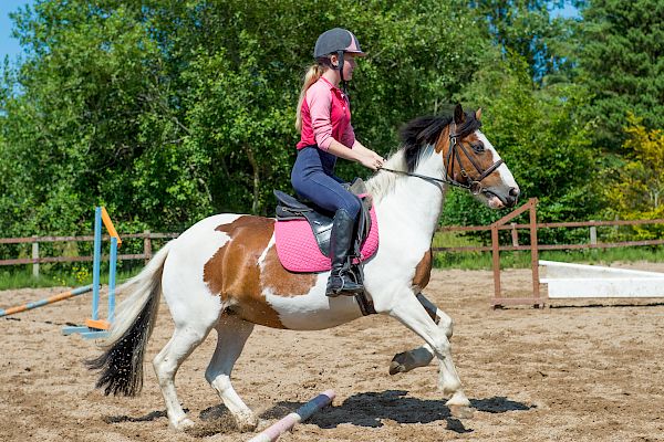 Snowdonia Riding Stables Geoff Billington Clinic