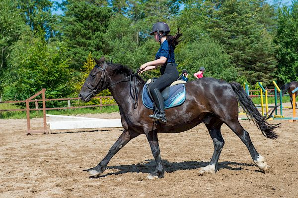 Snowdonia Riding Stables Geoff Billington Clinic