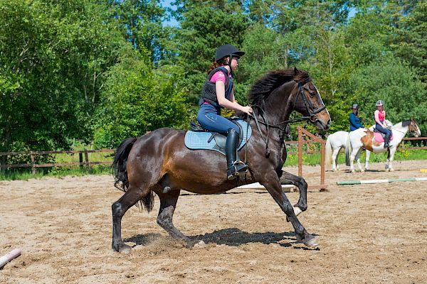 Snowdonia Riding Stables Geoff Billington Clinic