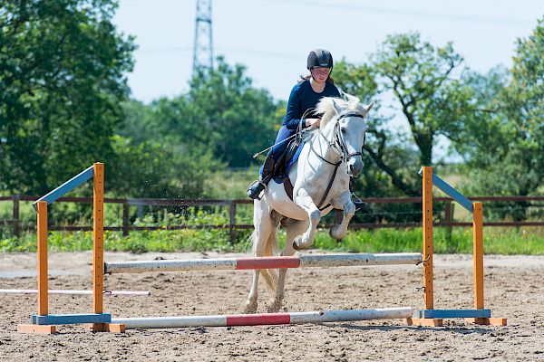 Snowdonia Riding Stables Geoff Billington Clinic