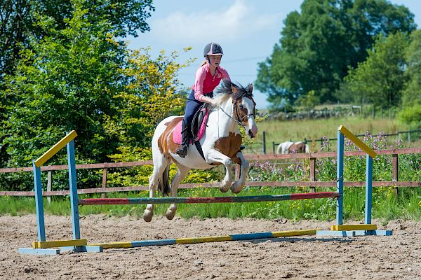 Snowdonia Riding Stables Geoff Billington Clinic