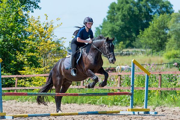 Snowdonia Riding Stables Geoff Billington Clinic