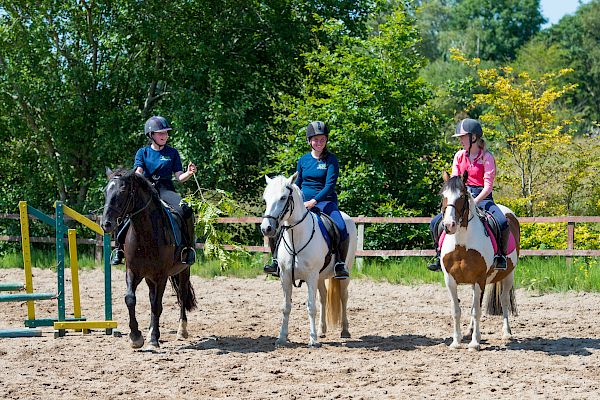 Snowdonia Riding Stables Geoff Billington Clinic