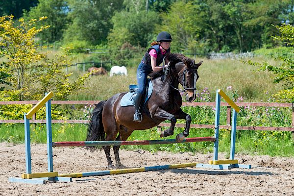 Snowdonia Riding Stables Geoff Billington Clinic