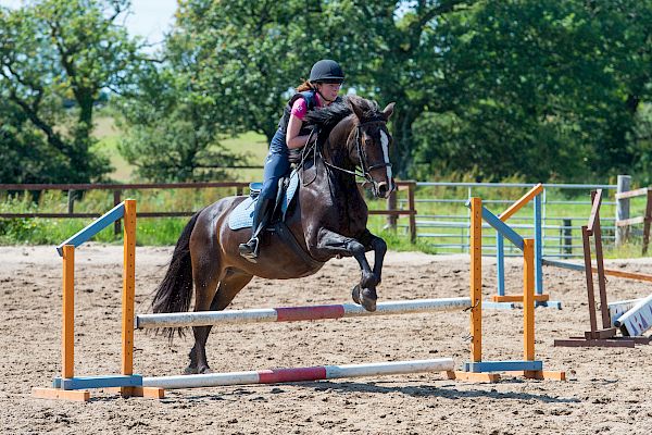 Snowdonia Riding Stables Geoff Billington Clinic