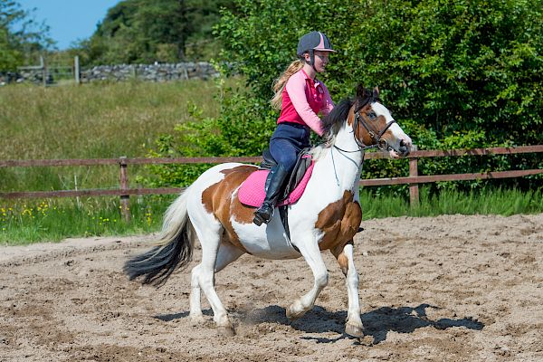 Snowdonia Riding Stables Geoff Billington Clinic