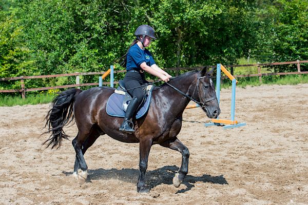 Snowdonia Riding Stables Geoff Billington Clinic