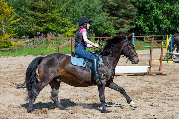 Snowdonia Riding Stables Geoff Billington Clinic