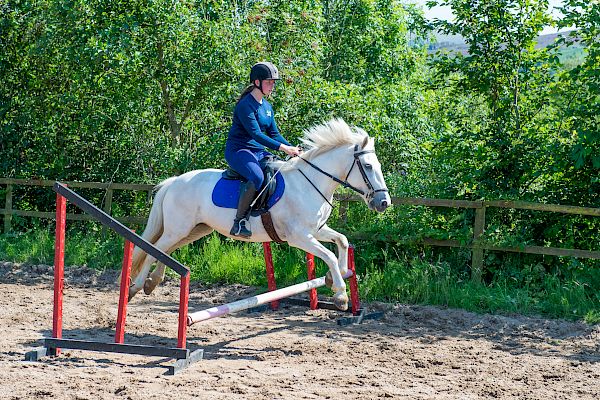 Snowdonia Riding Stables Geoff Billington Clinic