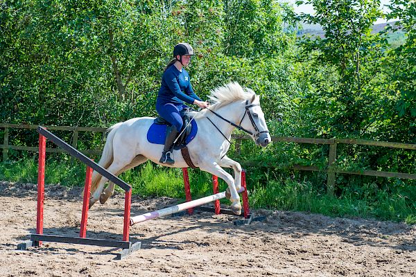 Snowdonia Riding Stables Geoff Billington Clinic