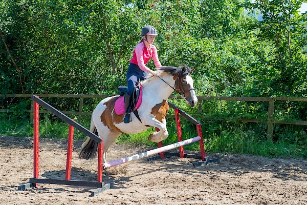 Snowdonia Riding Stables Geoff Billington Clinic