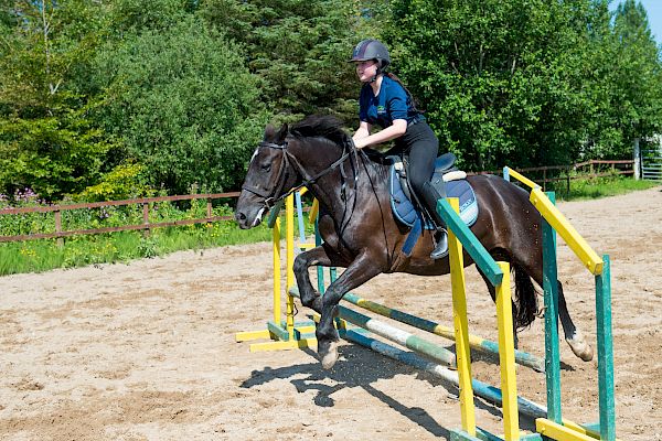 Snowdonia Riding Stables Geoff Billington Clinic