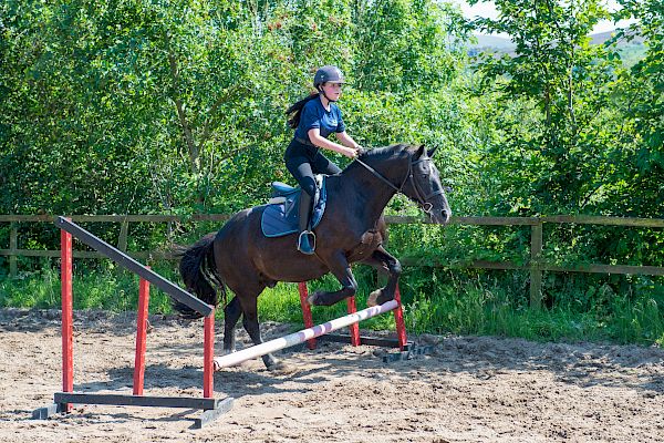 Snowdonia Riding Stables Geoff Billington Clinic