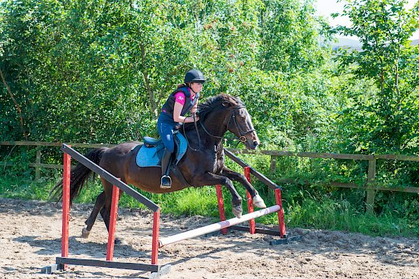 Snowdonia Riding Stables Geoff Billington Clinic